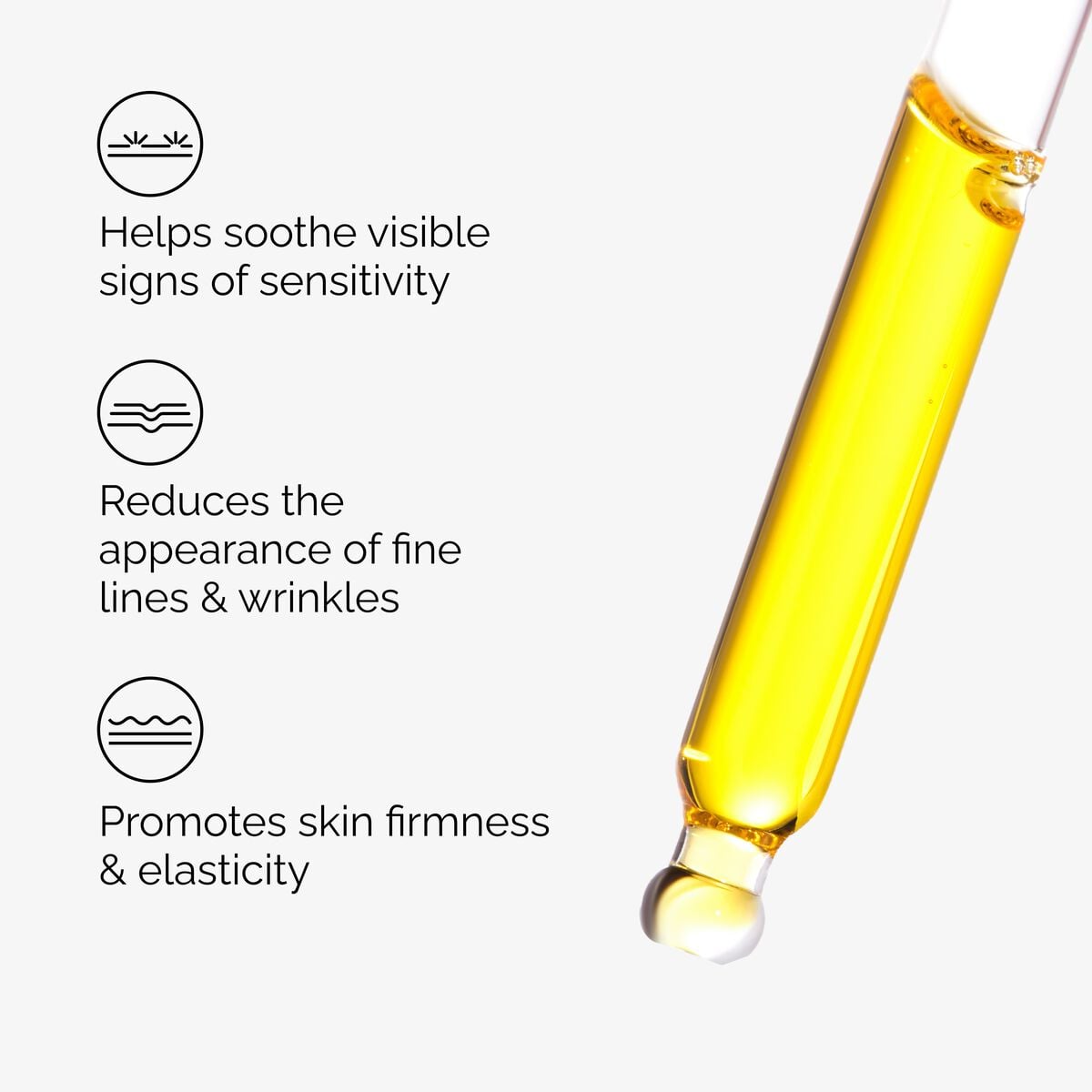 100-fermented-rose-hip-seed-oil-z9 100pct-fermented-rose-hip-key-ingredients.jpg
