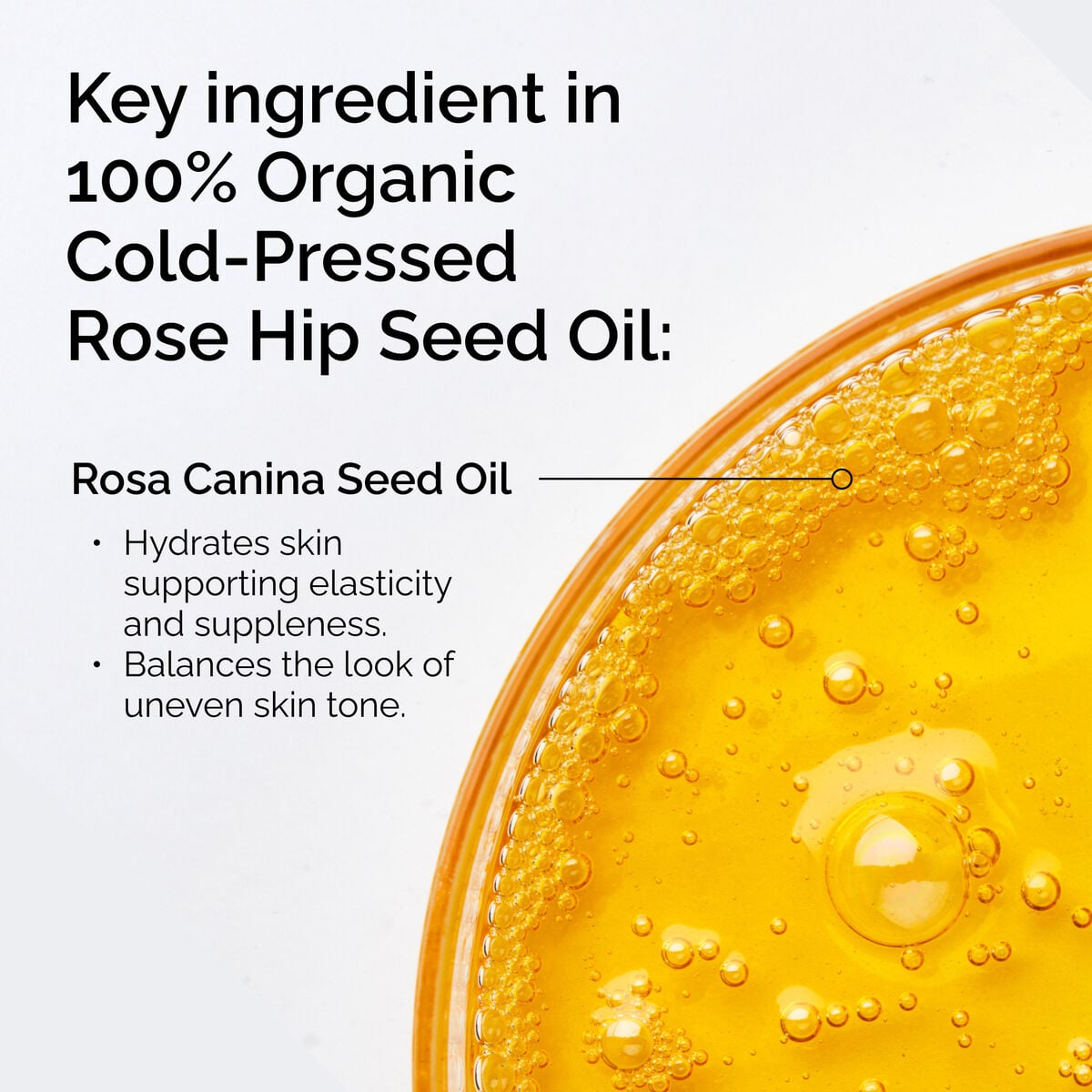 100-organic-cold-pressed-rose-hip-seed-oil-o1 FY25-D41247-ORD-Web-PDP-100-Rose-Hip-Oil-1x1-EN-2.jpg