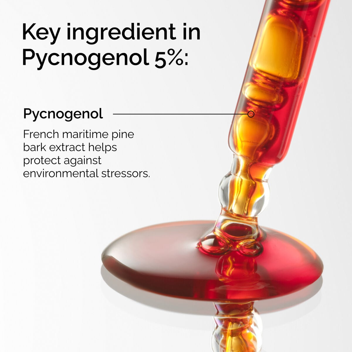 pycnogenol-5-m2 FY25-D41247-ORD-Web-PDP-Pyc-5pct-1x1-EN-2a.jpg