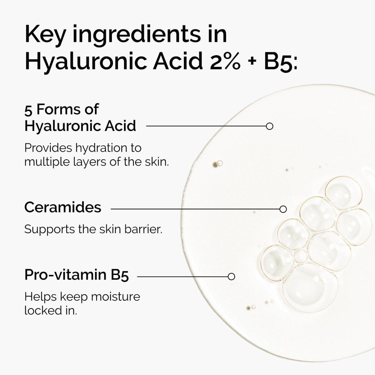 hyaluronic-acid-2-b5-with-ceramides-p0 ord-hyaluronic-acid-2pct-b5-hydrating-serum-ingredients-graphic.jpg