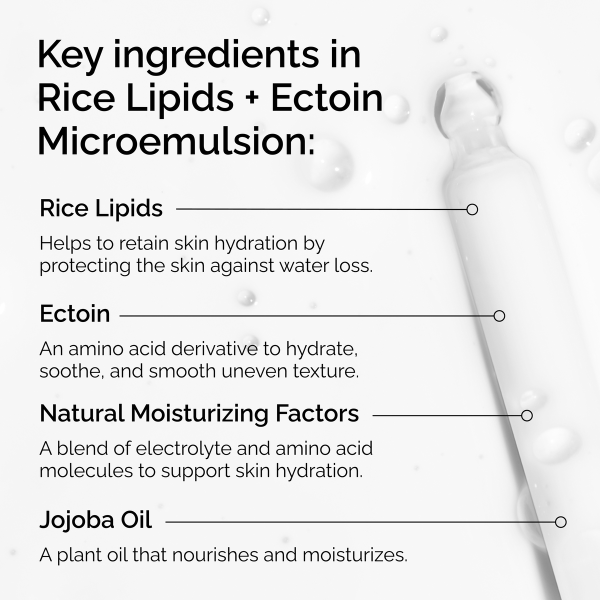 rice-lipids-ectoin-microemulsion-f4 ord-rice-lipids-ectoin-microemulsion-key-ingredients.png