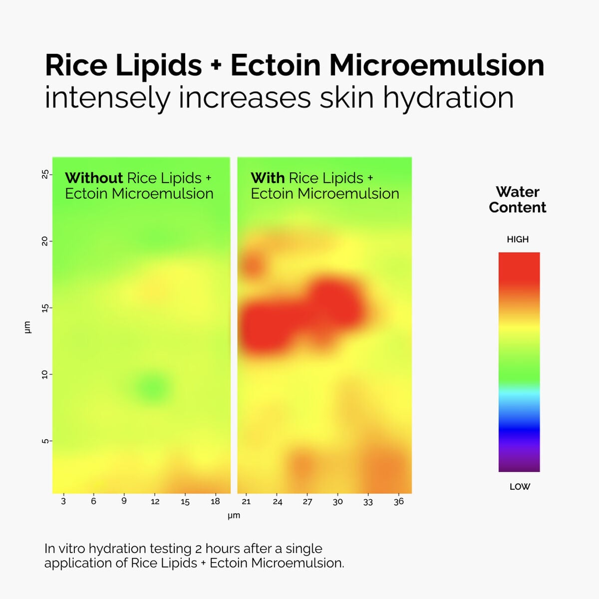 rice-lipids-ectoin-microemulsion-f4 ord-rice-lipids-ectoin-microemulsion-thermal-before-after.jpg